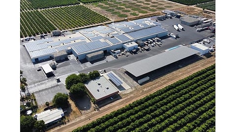 Distributed Generation