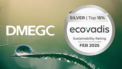 DMEGC Solar Ecovadis Silver Medal