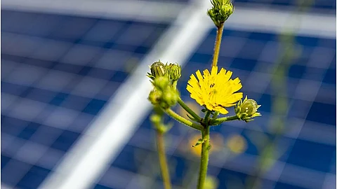 Solar Power