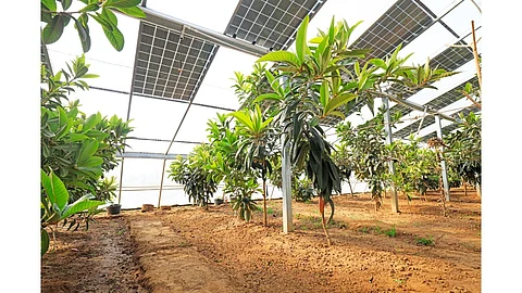 Agrivoltaics, Agri-PV, Agrisolar