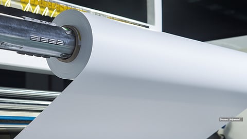 n_tec_jolywood_backsheets_encapsulation_survey_2025