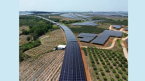 LONGi BC Modules For Highway PV Project & More