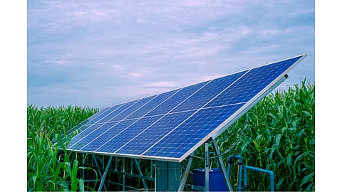 Agrivoltaics, Agri solar