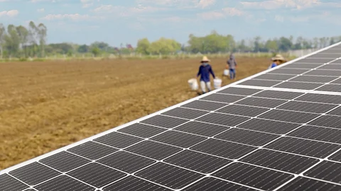 Solar Power Plant, Agrivoltaics