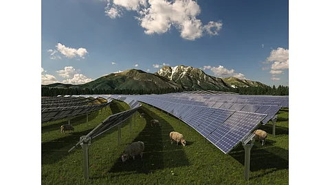 Solar Farm, Agrivoltaics