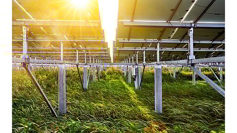 Solar plant