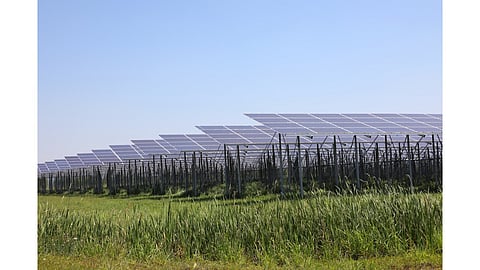 Solar Farm