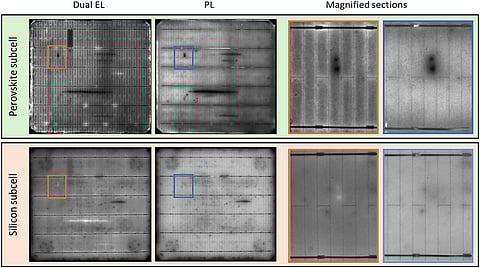 Dual electroluminescence (EL) and photoluminescence (PL) images of perovskite and silicon subcells in a monolithic tandem device, illustrating how localized defects and lateral inhomogeneities can be identified through junction-specific luminescence imaging. (Source: Study in Solar RRL)