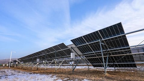 Trinasolar's Vertex N 700 W+ modules at a site.