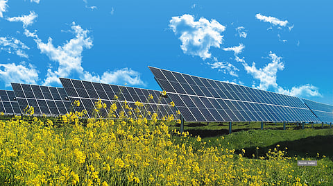 Tracker controllers determine PV module response to solar position, irradiance conditions, and weather events while advanced algorithms enable adaptive tracking strategies that improve plant energy yield. (Photo Credit: Soltec)