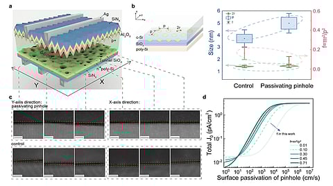 Pinhole in TOPCon Solar Cells