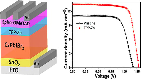 Morphological analysis showed that TPP-Zn passivation improved grain growth and reduced surface irregularities in CsPbIBr₂ perovskite films