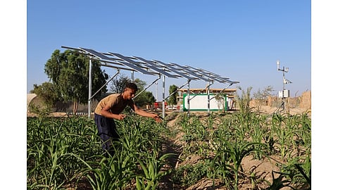 Agrivoltaics