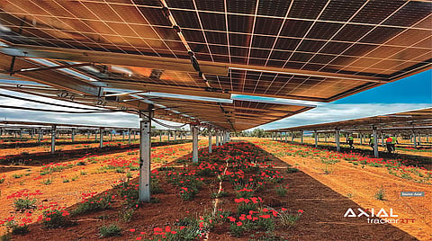 Axial's Titan tracker is designed around a long-row architecture, supporting tracker lengths of up to 160 m for utility-scale PV installations. (Photo Credit: Axial Structural Solutions)