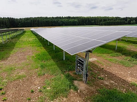 The Veringenstadt agri-PV project combines 8.5 MW of solar generation with continued agricultural use across 15.5 hectares. (Photo Credit: IBC Solar)