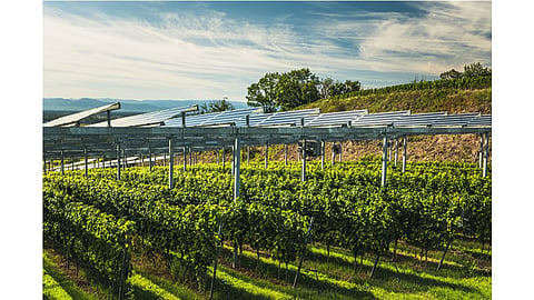 Agrivoltaics