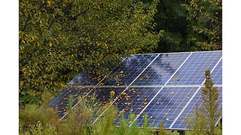 Solar Array