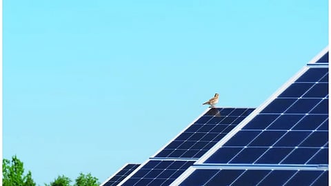 Solar Array