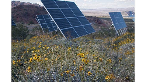 Solar Array
