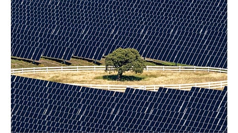 Solar park