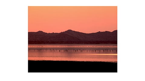 200 MW PV Tender By Hindustan Salt Group