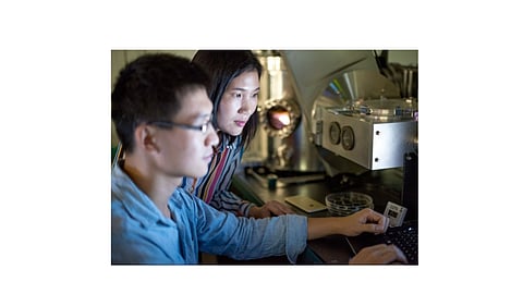 UNSW's Dr Hao and her team say the need of the hour is to take the efficiency CZTS thin film solar cells to over 20%. But that is some way to go – the team now just exceeded 10%. (Photo Credit: UNSW Sydney)