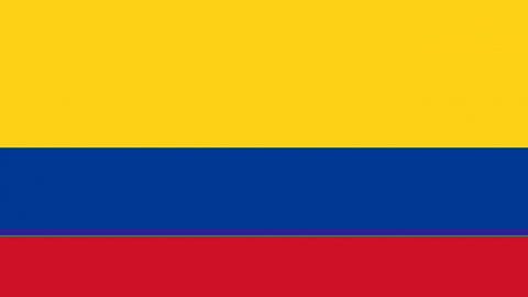 Colombia’s RE Auction Launched