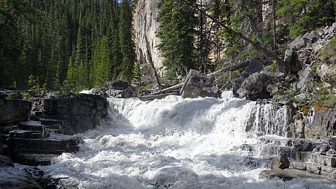 23 MW Bifacial PV Project In Canada