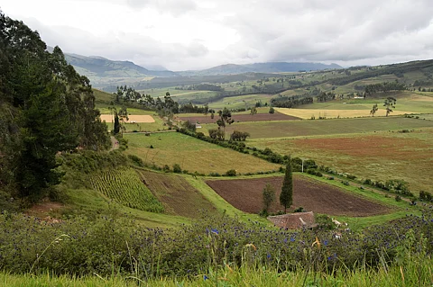 310 MW Renewable Energy Tender In Ecuador