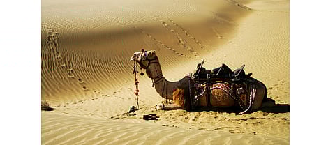 India Planning 30 GW RE Plants Along Western Border?