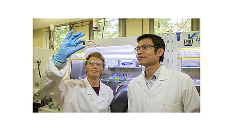 Professor Kylie Catchpole (left) and Dr The Duong, part of the team that developed a 27.7% efficient perovskite-silicon tandem cell, are now targeting around 30% for the technology, which they believe is needed to sell this technology commercially. (Photo Credit: Stuart Hay/ANU)