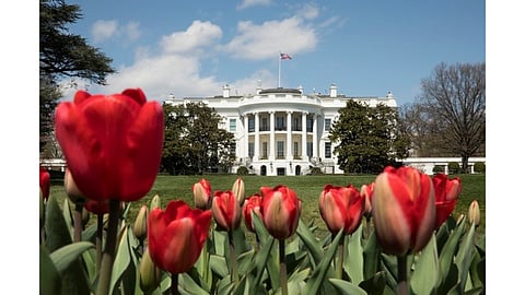 US Solar ITC Safe Harbor May Get Extended