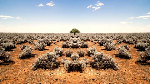 Neoen Australia Seeking Approval For Goyder South Project
