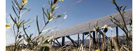 Enel Green Power and the QIA plan to work together for the development of a renewables portfolio in Sub-Saharan Africa through a joint venture. (Photo Credit: Enel Spa)