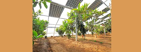 With Guizhou Province, and China Huaneng Group signing a 400 MW photovoltaic power plant project construction agreement worth RMB 3 billion, it is expected that this move will positively promote agricultural efficiency and farmers’ income. (Photo Credit: Chinahbzyg/Shutterstock.com)