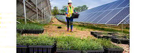 Greenbacker has purchased an 80 MW AC solar project from Broad Reach Power in Montana, US. Pictured is the Greenbacker Catholic Charities Solar Site in Washington DC. (Photo Credit: Greenbacker Renewable Energy Company)