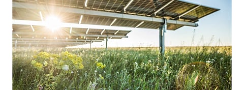 As Lightsource bp strengthens its presence in the US market, the company has secured McDonald’s Corporation and eBay Inc. as its corporate solar power offtakers for 345 MW DC Louisiana solar project. (Photo Credit: Lightsource bp)