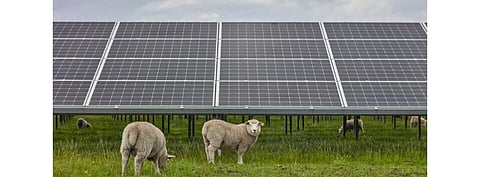 European Energy will handle project development of solar and wind energy projects in Denmark and Sweden under its partnership with Sampension and Novo Holdings. (Photo Credit: European Energy A/S)