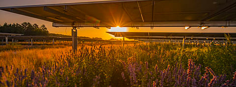 Enel Green Power is carrying out agrivoltaic experiments on both greenfield sites and on sites of decommissioned power plants being repurposed in Greece, Spain and Italy. (Photo Credit: Enel Spa)