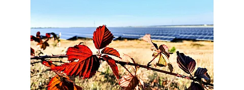 Having acquired British solar developer Solarcentury, Statkraft has now announced plans to build 125.5 MW solar capacity to generate 127 GWh clean energy in the UK. (Photo Credit: Statkraft)