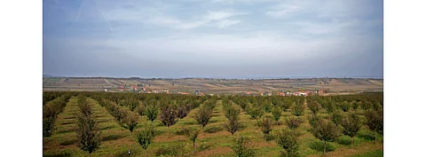 The 1st call for competitive agricultural projects in Serbia will support projects producing fruits, vegetables, grapes and flowers. Solar PV to improve competitiveness of said projects will also be eligible for grants. (Photo Credit: Ministry of Agriculture, Forestry and Water Mangement, Serbia)