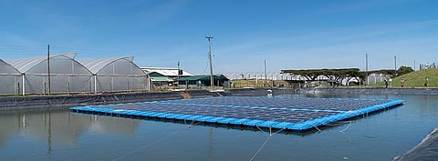 The 69 kW floating PV project in Kenya for Rift Valley Roses (in the picture) was financed by ecoligo with the help of crowdfunding. The project is also supported by the German Energy Agency. (Photo Credit: ecoligo GmbH)