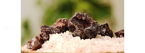 Indian salt producers HSL and SSL want to utilize their unused land in Gujarat and Rajasthan to be used to produce solar power from up to 5 GW capacity. (Photo Credit: IndianSalt.com)