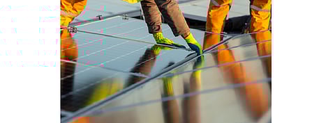 Renewables company Apex and timberland company Weyerhaeuser come together to develop 1 GW of utility-scale solar and solar-plus-storage projects in the US. (Illustrative Photo; Photo Credit: Tsetso Photo/Shutterstock.com)