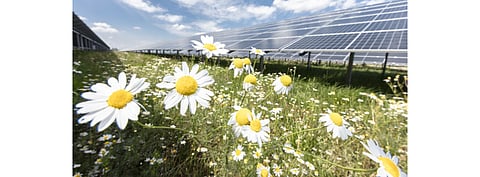 The 187 MW solar farm in Germany (in the picture) is to help Covestro produce sustainable plastics after the latter entered a 15-year PPA with EnBW. (Photo Credit: EnBW/Paul Langrock)