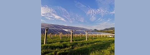 As a 100 MW agricultural and photovoltaic project using Trina Solar’s 210 Vertex 550W series in Hubei Province gets connected to the grid, it is expected to generate 110 million kWh of electricity annually, saving 42,000 tons of standard coal and reducing carbon dioxide emissions by around 104,500 tons. (Photo Credit: Trina Solar)