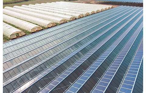 Axpo’s 10 GW solar capacity plans envision use of around 10,000 hectares surface area to set up the projects, including greenhouses like the one in this picture. (Photo Credit: Axpo Holding AG)