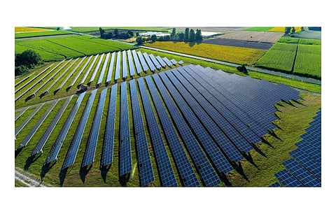 Meijer says it will enter more strategic partnerships to reach its 50% absolute carbon emissions reduction goal by 2025, and that the VPPA with Duke Energy for Pisgah solar project is the 1st of such deals. (Photo Credit: Meijer)