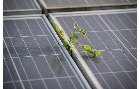 Starting with an initial target to install 33 MW solar through their new solar energy investment platform in Colombia, Celsia and Grupo Bancolombia Capital aim to expand it to over 160 MW in the next 5 years. (Photo Credit: Celsia SA)