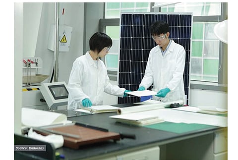 Fairly different: The backsheets from Endurans not only follow an a typical structure – all-PP –, the backsheets are also produced with a special coextrusion process. (Source: Endurans)